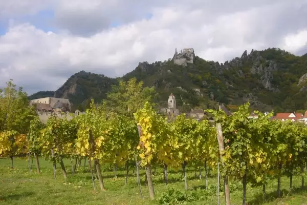 Dürnstein - zřícenina hradu Kueringer