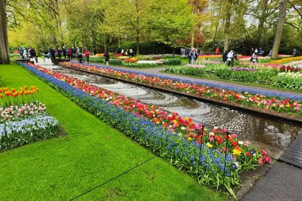 Keukenhof