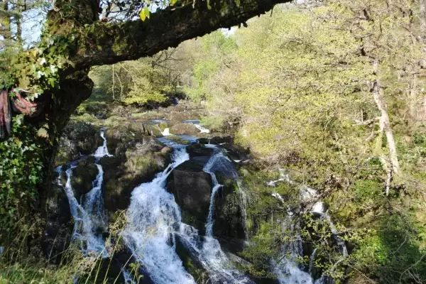 Swallow Falls